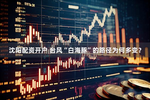 沈阳配资开户 台风“白海豚”的路径为何多变？